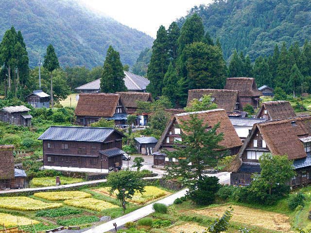 c0008502_6135826.jpg