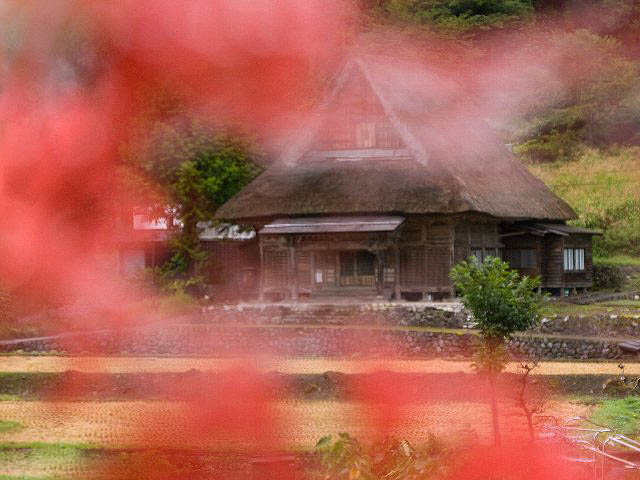 c0008502_616497.jpg