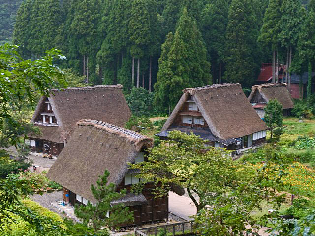 c0008502_657030.jpg