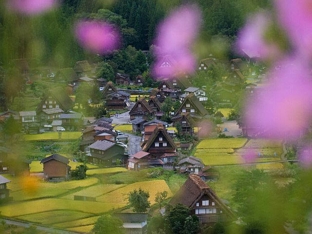 c0008502_675589.jpg