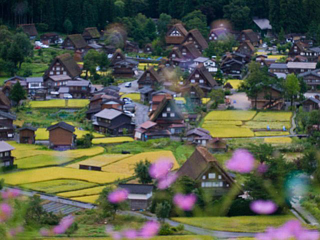 c0008502_681036.jpg