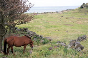 c0148705_9295541.jpg
