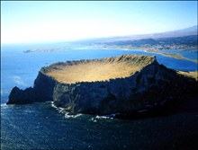 c0148705_9351348.jpg
