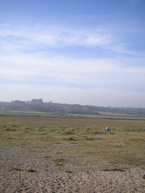 e0160905_8144178.jpg