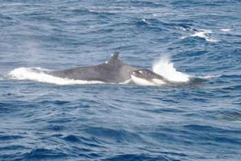 f0048405_14331190.jpg