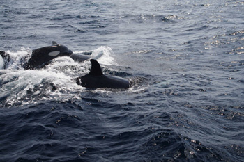 f0048405_14332665.jpg