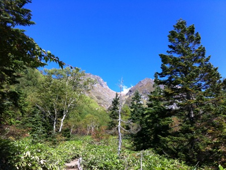 e0132713_230512.jpg