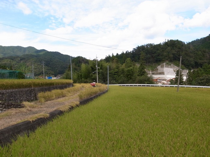 稲刈り_c0116915_22324271.jpg