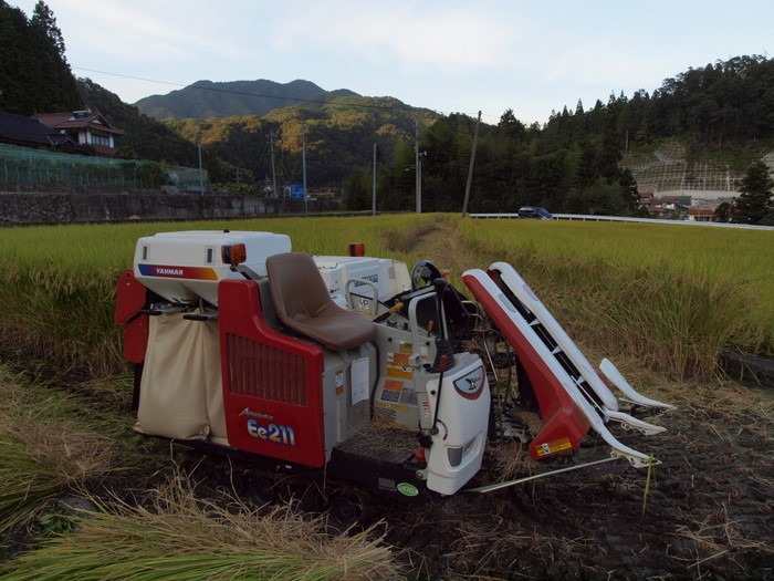 稲刈り_c0116915_22401629.jpg