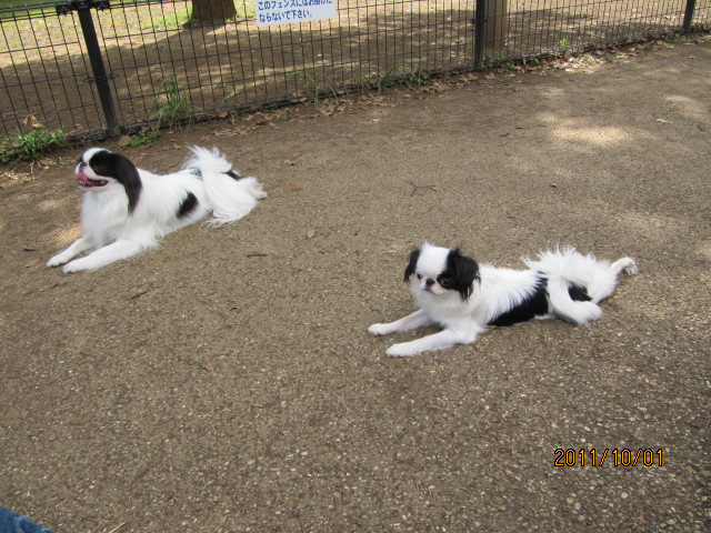c0200916_231847.jpg
