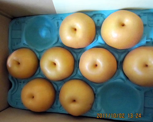 秋の便りが茨城と山形から届きました。_d0029716_19514262.jpg