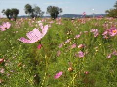 a0157619_2395589.jpg