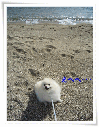b0167519_15185178.gif