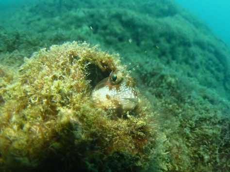 a0104720_2131103.jpg