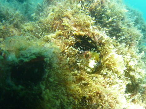 a0104720_21325580.jpg