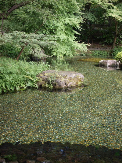 c0192025_2103927.jpg