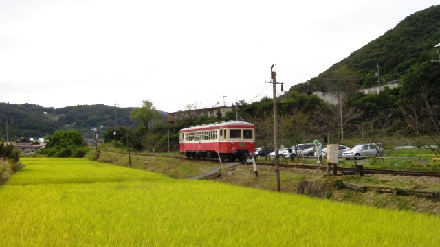 片上鉄道保存会_a0066027_23345675.jpg