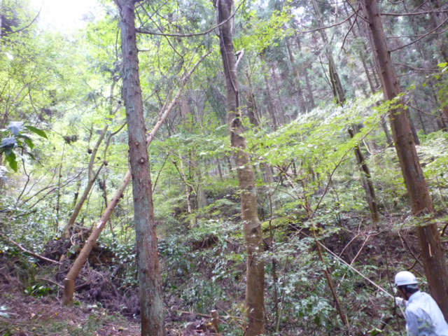 b0212828_1454394.jpg