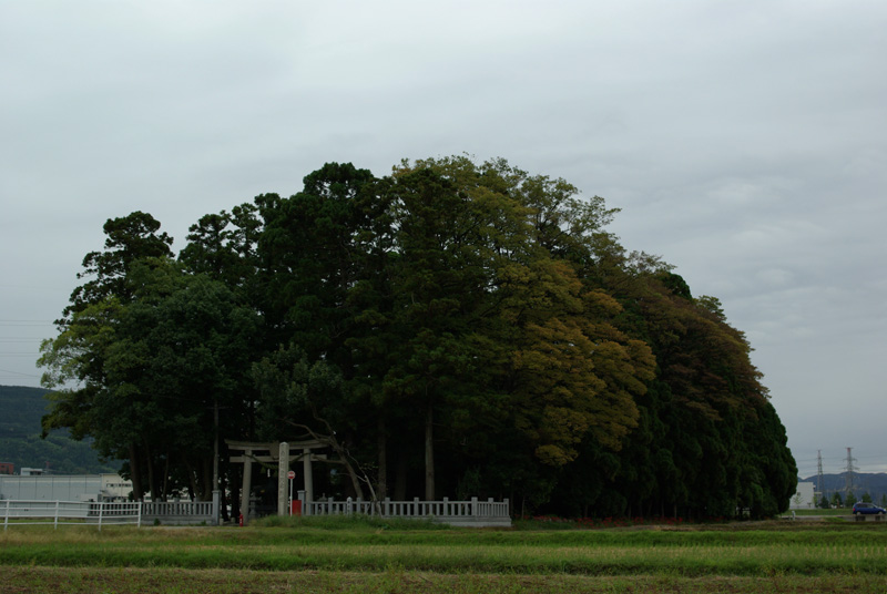 b0177233_552711.jpg