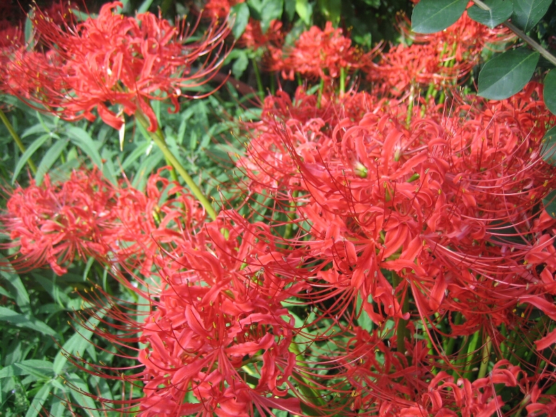 c0113733_2353599.jpg