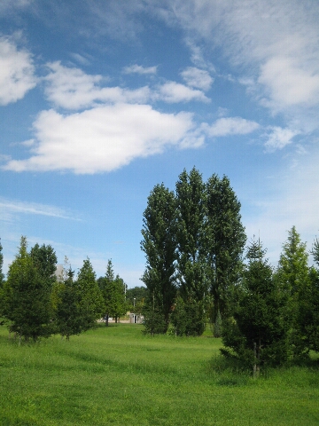 c0113733_2433154.jpg