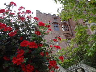 e0074833_11505273.jpg