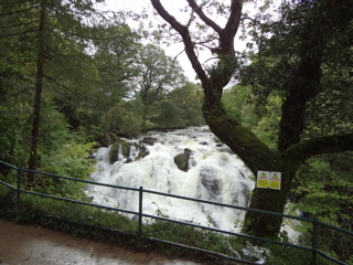 2011 Travel in Wales ３日目_e0074833_123886.jpg