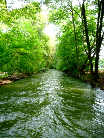 Recovery in Englischer Garten_c0201334_2036323.jpg