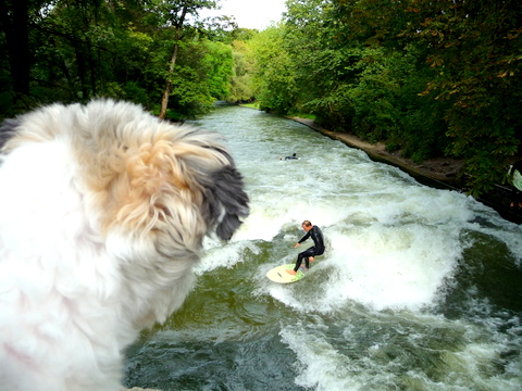 Recovery in Englischer Garten_c0201334_2042640.jpg