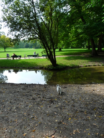 Recovery in Englischer Garten_c0201334_205033.jpg