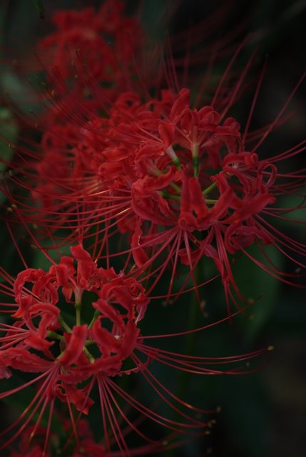 e0171336_19134132.jpg