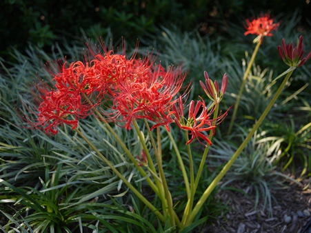 f0232136_9232242.jpg