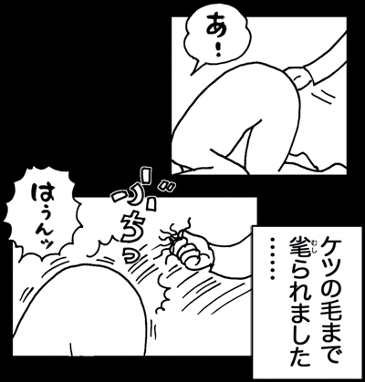 10月2日(日)【阪神−中日】(甲子園)●2ー7＜阪神9勝13敗2分け＞_f0105741_11165643.gif
