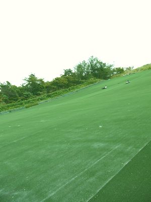 c0199544_851731.jpg