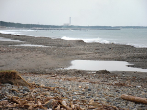 a0134746_13582995.jpg