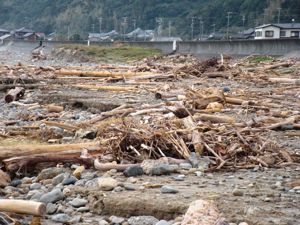 2011年10月片浜BEACH CLEAN（10/2）_a0134746_14102364.jpg