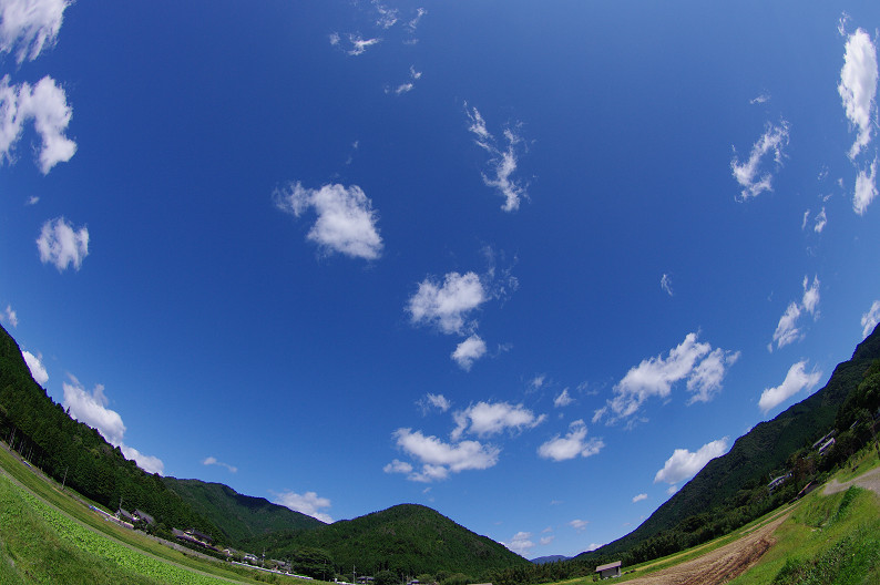 f0152550_2285429.jpg