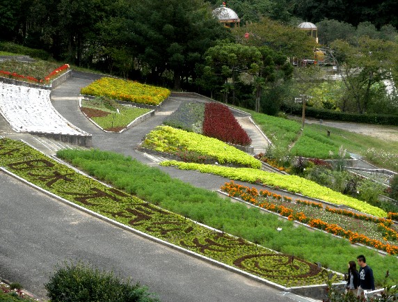 　　和歌山県植物公園緑花センター　_b0093754_23592893.jpg