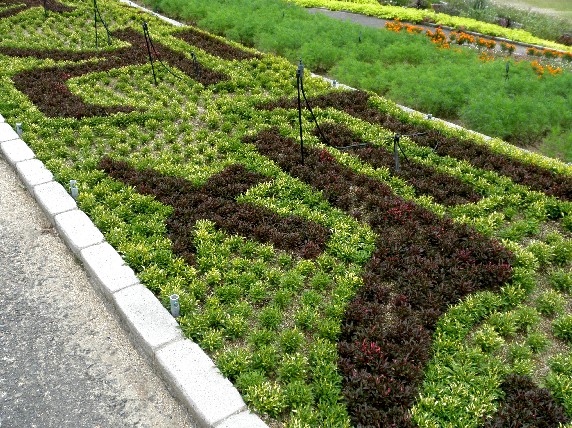 　　和歌山県植物公園緑花センター　_b0093754_23594993.jpg