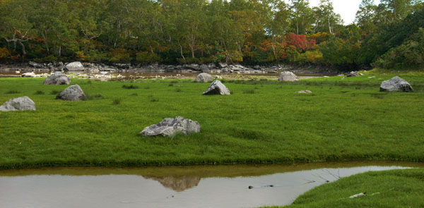 c0097856_0263372.jpg