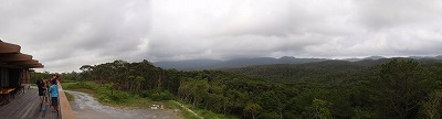 c0180460_957537.jpg