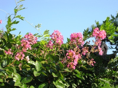 c0190960_7121317.jpg