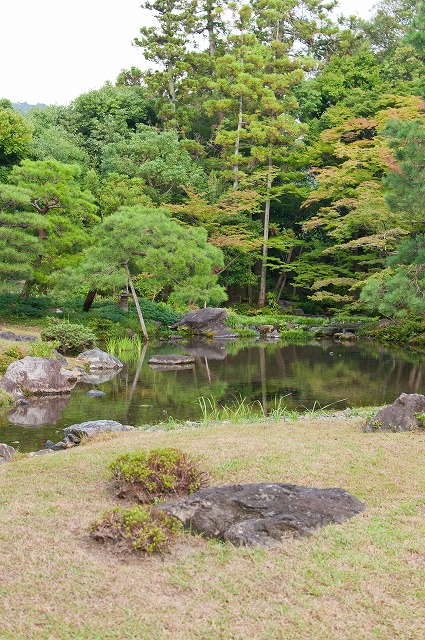 無鄰庵編（癒しの庭園）（Ｈ23.7.24)_e0209962_11527.jpg