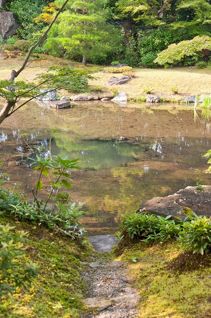 無鄰庵編（癒しの庭園）（Ｈ23.7.24)_e0209962_123486.jpg