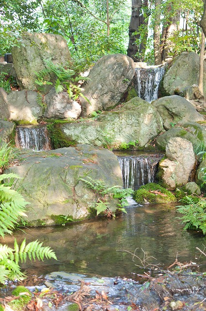 e0209962_133056.jpg