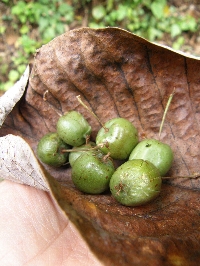 f0035962_1201183.jpg