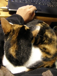 f0035962_1221914.jpg