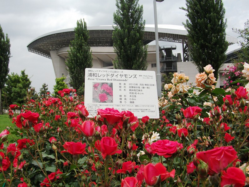f0036670_22382426.jpg