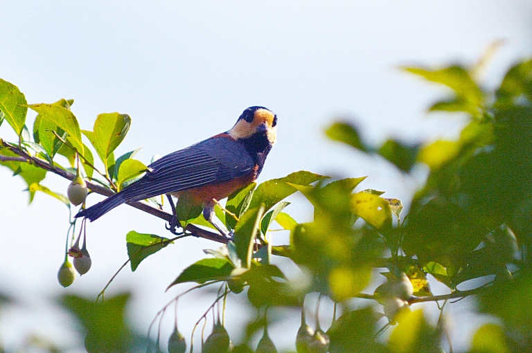 一庫ダムの公園　20110924_a0050572_102073.jpg