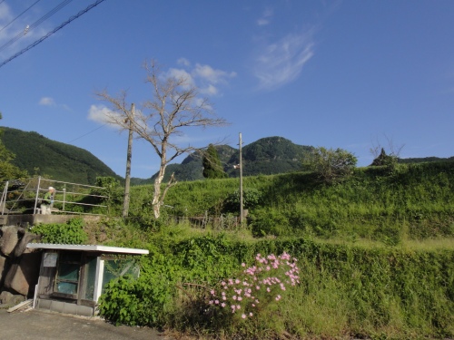 玖珠の万年山（大分県玖珠町）_d0182075_4133062.jpg